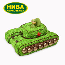 Торт Юный танкист